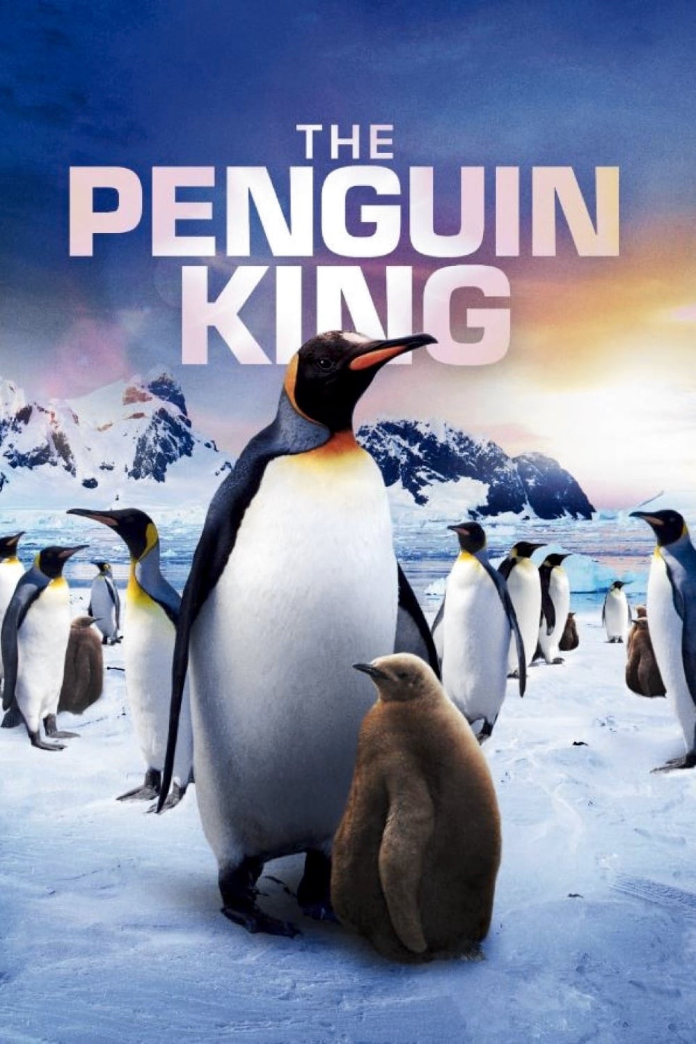 Постер The Penguin King